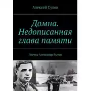 Постер книги Домна. Недописанная глава памяти. Летчик Александр Рытов