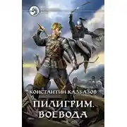 Постер книги Пилигрим. Воевода