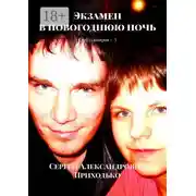 Постер книги Экзамен в новогоднюю ночь. Клуб сталкеров – 5