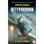 Постер книги Штурмовик. Крылья войны