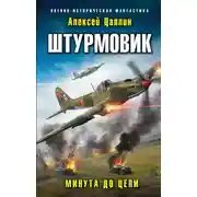 Постер книги Штурмовик. Минута до цели