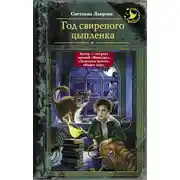 Постер книги Год свирепого цыпленка