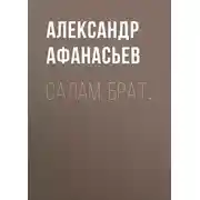Постер книги Салам, брат…