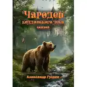 Постер книги Чародей колдовского леса