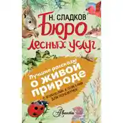 Постер книги Бюро лесных услуг. С вопросами и ответами для почемучек
