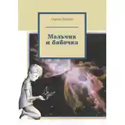 Постер книги Мальчик и бабочка