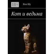 Постер книги Кот и ведьма
