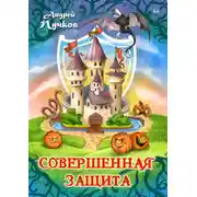 Постер книги Совершенная защита