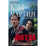Постер книги Пик Ангела