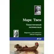 Постер книги Таинственный незнакомец