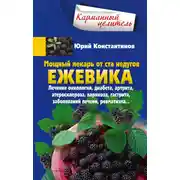 Постер книги Мощный лекарь от ста недугов. Ежевика. Лечение онкологии, диабета, артрита, атеросклероза, варикоза, гастрита, заболеваний печени, ревматизма…