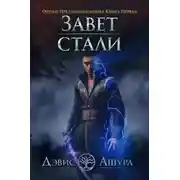 Постер книги Завет стали. Орудие предзнаменования. Книга первая