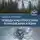 Олег Торсунов - Победа над стрессами и кризисами жизни
