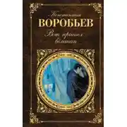 Постер книги Друг мой Момич