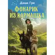 Постер книги Фонарик из кармашка