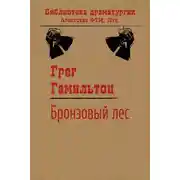 Постер книги Бронзовый лес