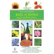 Постер книги Хлеб и вино. Библейская диета