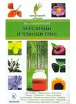 Нина Башкирцева - Березовый и чайный гриб