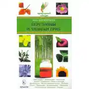 Постер книги Березовый и чайный гриб