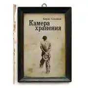 Постер книги Камера хранения