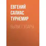 Постер книги Былые гусары