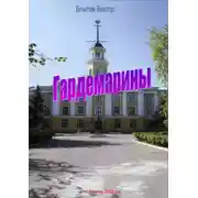 Постер книги Гардемарины