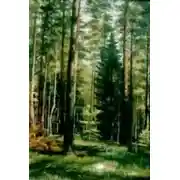 Постер книги Лес – кормилец