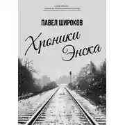 Постер книги Хроники Энска