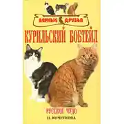 Постер книги Курильский бобтейл