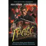 Постер книги Воздушные фрегаты. Гросс