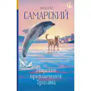 Постер книги Морские приключения Трисона