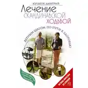 Постер книги Лечение скандинавской ходьбой. Оздоровительные практики