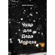 Постер книги Чудо для Деда Мороза