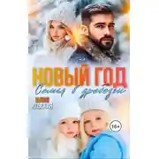 Постер книги Новый год. Семья вдребезги