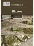 Сергей Баев - Шалом. Роман