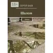 Постер книги Шалом. Роман