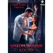Постер книги Бракоразводный костёр
