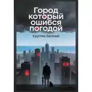 Постер книги Город который ошибся погодой
