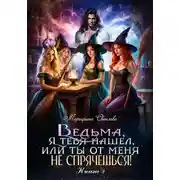 Постер книги Ведьма, я тебя нашел, или Ты от меня не спрячешься -2