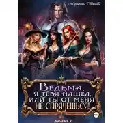 Постер книги Ведьма, я тебя нашел, или Ты от меня не спрячешься 1