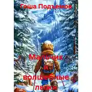 Постер книги Мальчик и волшебные лыжи