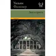Постер книги Звук и ярость