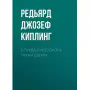 Постер книги Откуда у носорога такая шкура