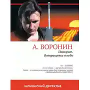 Постер книги Панкрат. Возвращение в небо