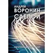 Постер книги Слепой. Обратной дороги нет