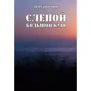 Постер книги Слепой. Большой куш