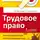 Евгений Евстигнеев - Трудовое право. Краткий курс