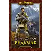 Постер книги Ведьмак