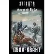 Постер книги Пуля-квант