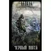 Постер книги Черный Ангел